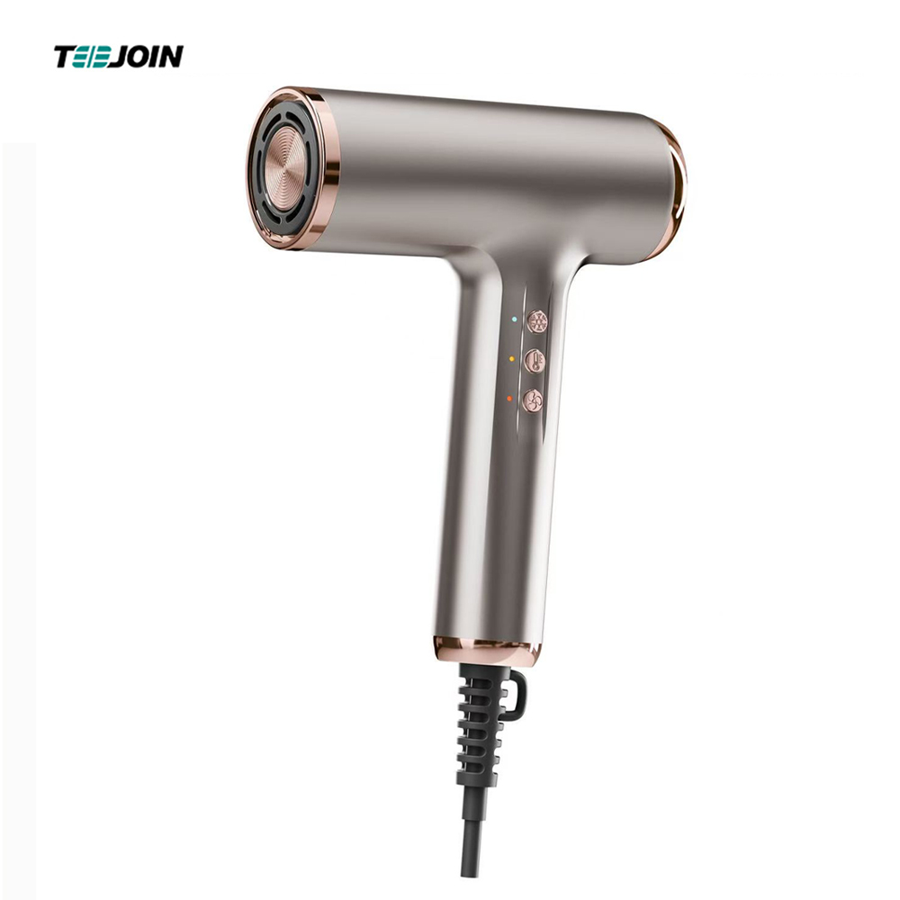 PBT-2301 Good Blow Dryer and Hair Dryer Custom