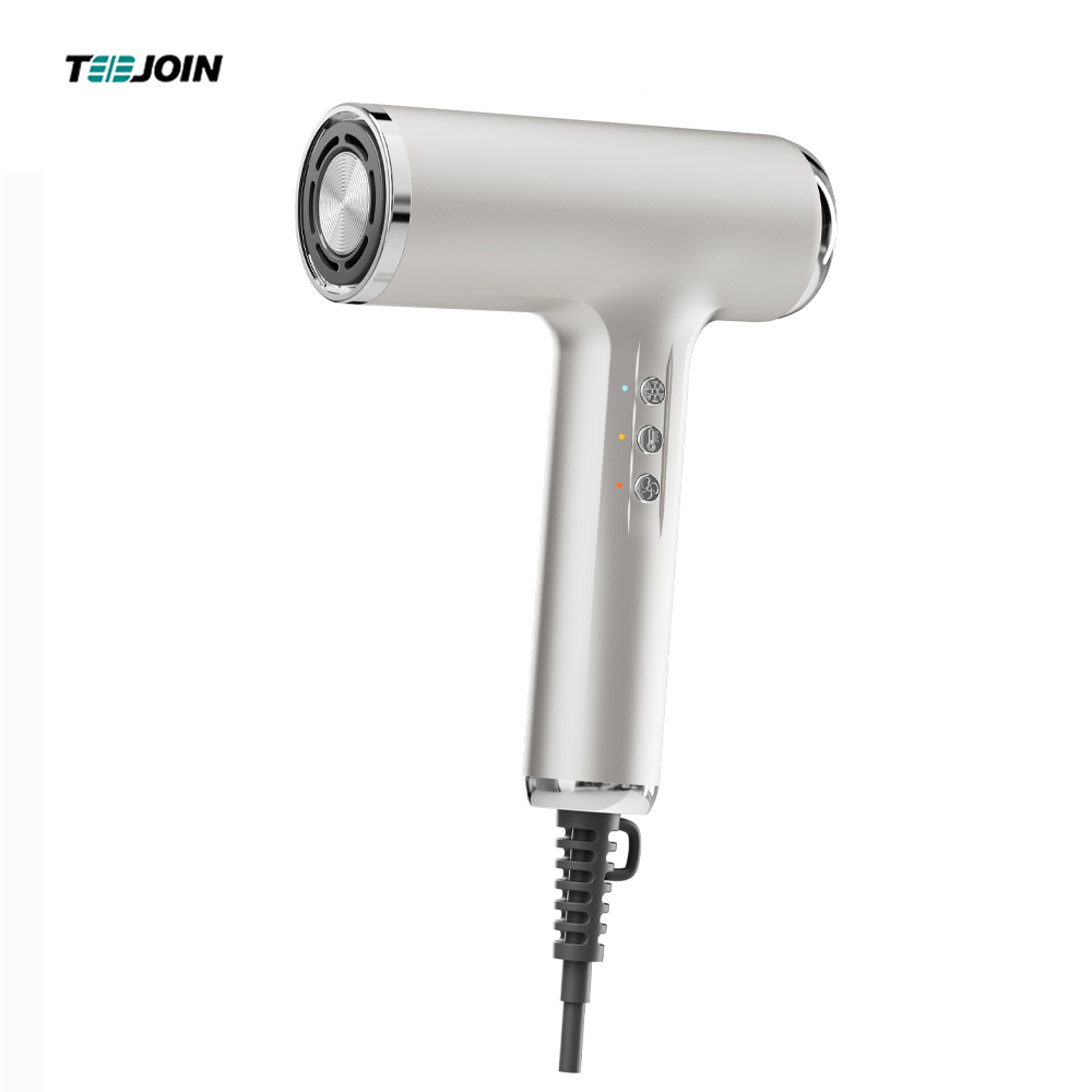 PBT-2301 Good Blow Dryer and Hair Dryer Custom
