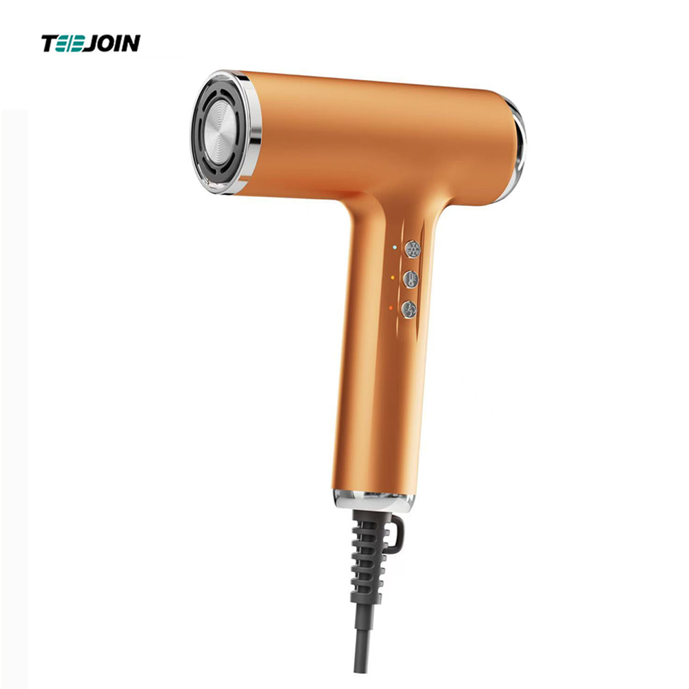 PBT-2301 Good Blow Dryer and Hair Dryer Custom