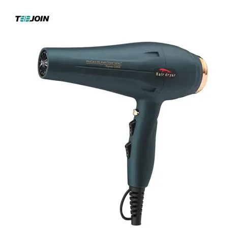 Salon Professional ions Hair Dryer at 1700W Hair Dryer