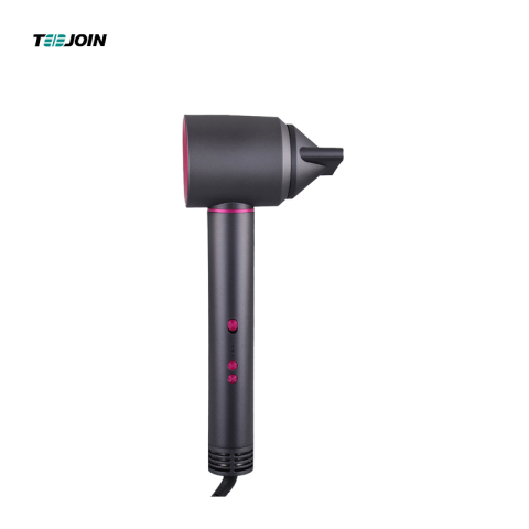 BLDC Motor High Speed 5 in 1 One Step Hair dryer