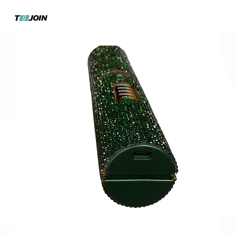 Professional hair Straightener Bling Flat Iron