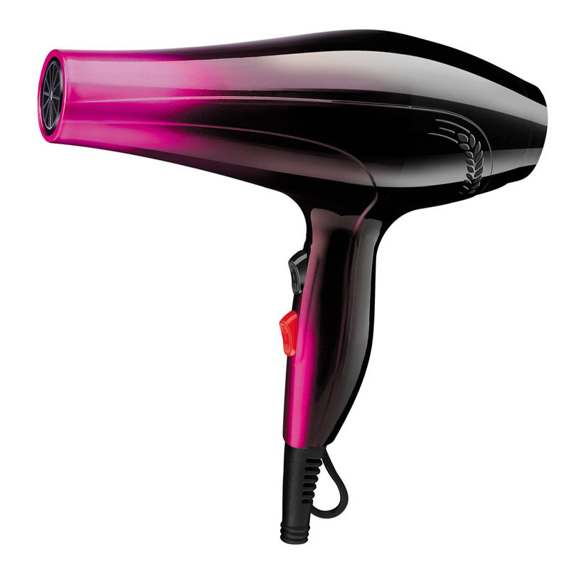 Salon Professional ions Hair Dryer at 1700W Hair Dryer