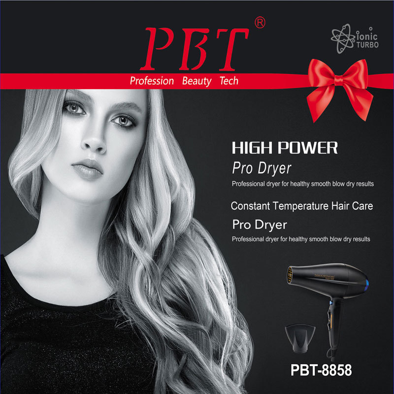 Hair Dryers Diffuser Professional Salon Hair Dryer