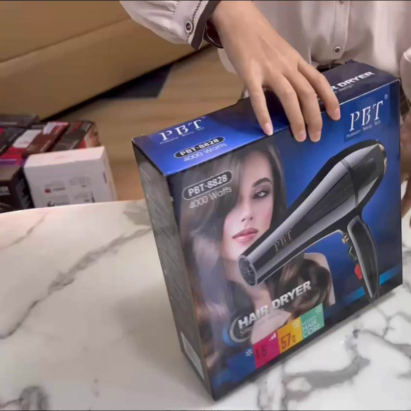Mini Wall Mounted Salon Negative Ion Hair Dryer
